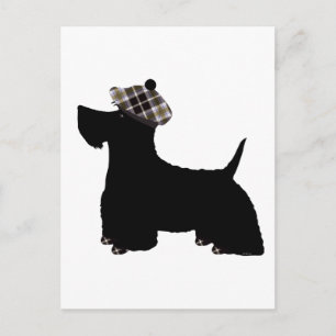 Scottish Terrier Postcard