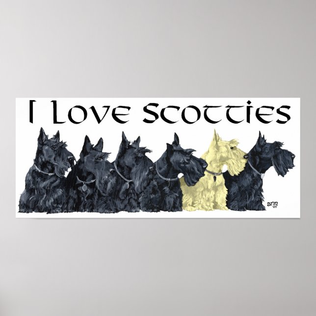 Scottish Terrier Poster (Front)