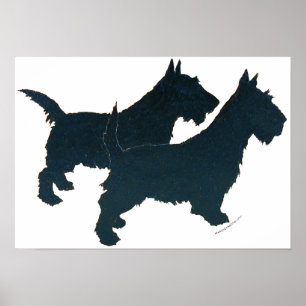 Scottish Terrier Poster