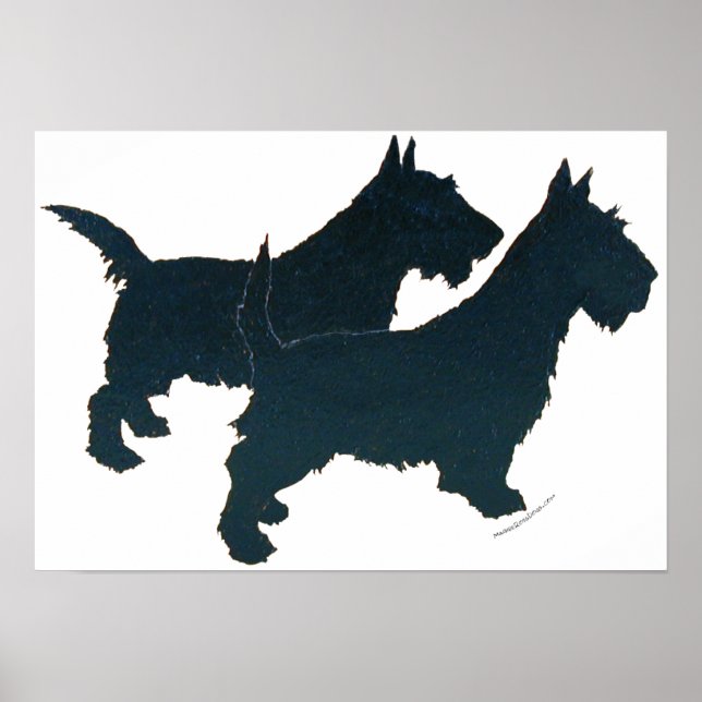 Scottish Terrier Poster (Front)