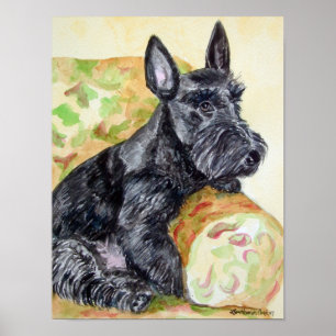 Scottish Terrier Print Poster