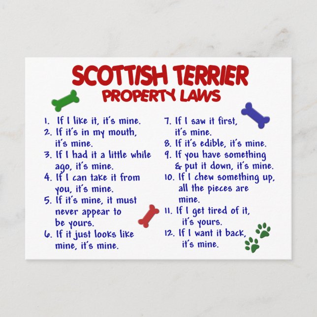 SCOTTISH TERRIER Property Laws 2 Postcard (Front)