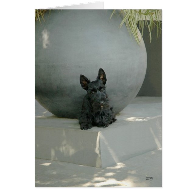 Scottish Terrier Pup with Orb (Front)