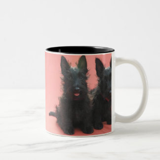 Scottish Terrier puppies mug