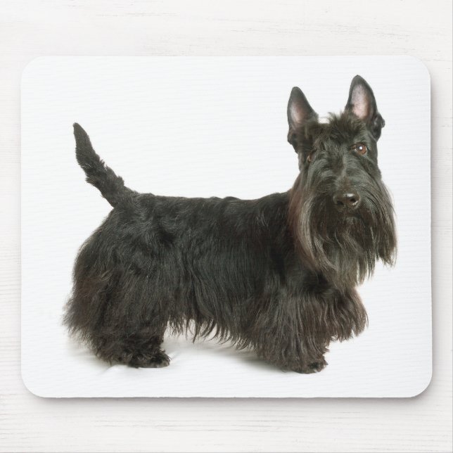 Scottish Terrier Puppy Dog Mousepad (Front)
