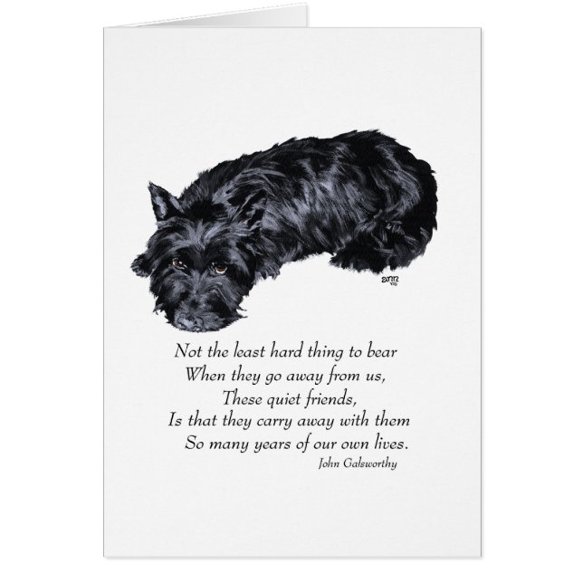 Scottish Terrier Rainbow Bridge (Front)