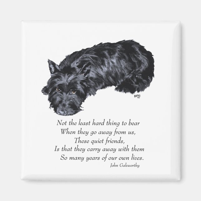 Scottish Terrier Rainbow Bridge Magnet (Front)