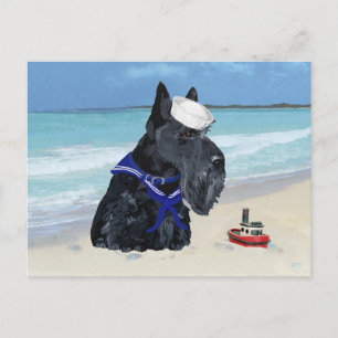 Scottish Terrier Sailor Postcard