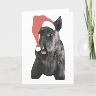 Scottish Terrier Santa Hat Christmas Holiday Card