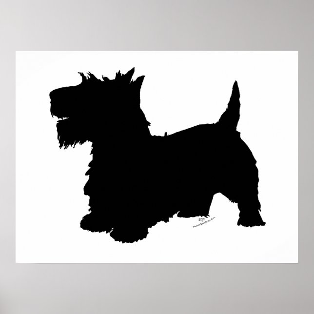 Scottish Terrier Silhouette Poster (Front)