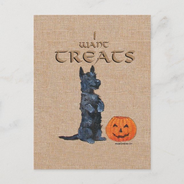 Scottish Terrier Sits Up for Treats! Postcard (Front)