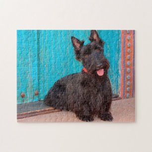 Scottish Terrier sitting by colourful doorway Jigsaw Puzzle
