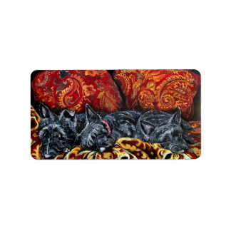 Scottish Terrier Sofa Label