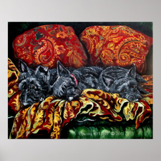 Scottish Terrier Trio Poster