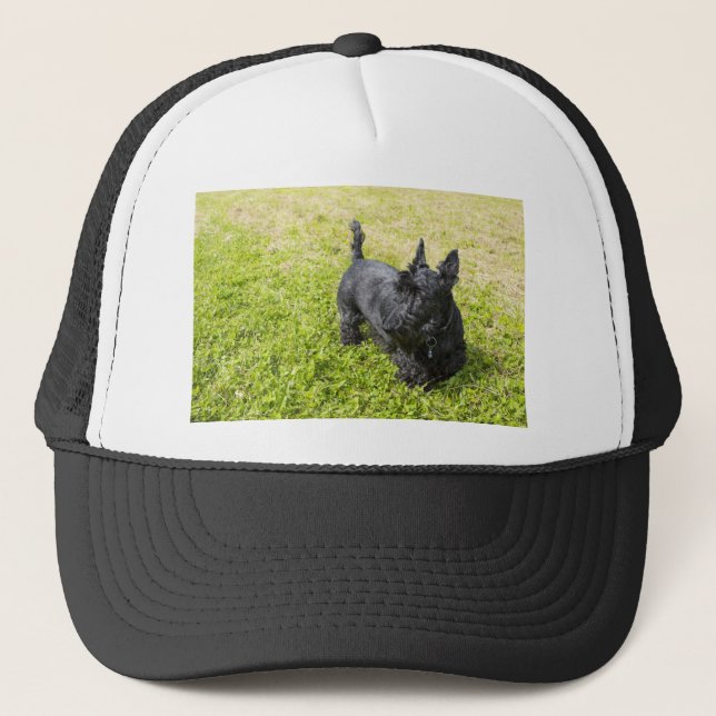 Scottish Terrier Trucker Hat (Front)