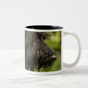 Scottish Terrier Two-Tone Coffee Mug