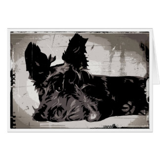 Scottish Terrier urban background