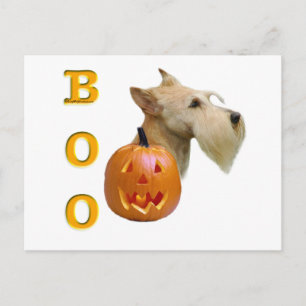 Scottish Terrier (wheaten) Boo Postcard