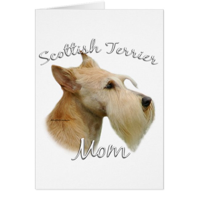 Scottish Terrier (wheaten) Mum 2 (Front)