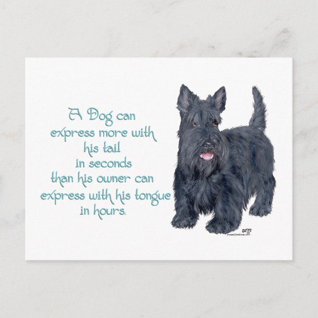 Scottish Terrier Wit & Wisdom - Talking Postcard (Front)