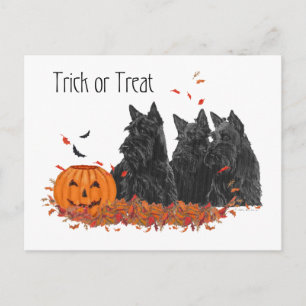Scottish Terriers Halloween Postcard