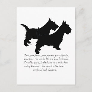 Scottish Terriers Keepsake - MALE Dogs Postcard