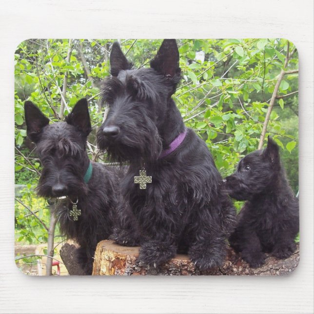 Scottish Terriers Mouse Pad (Front)