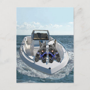 Scottish Terriers on the Boat Postcard