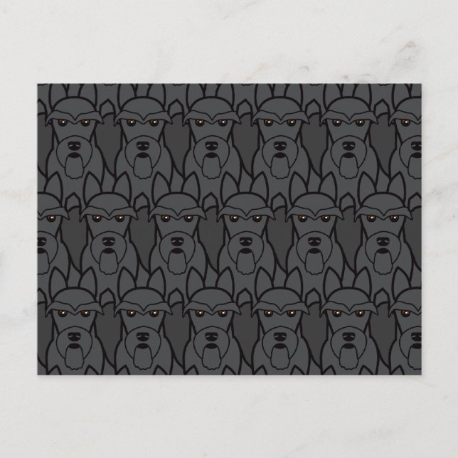 Scottish Terriers Postcard (Front)