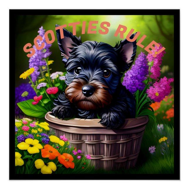 Scottish Terriers Rule! Poster (Front)