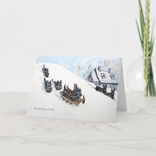 Scottish Terriers Sledding Holiday Card