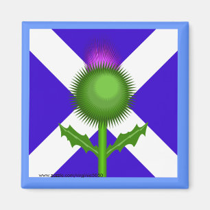 Scottish Thistle and Flag  Magnet