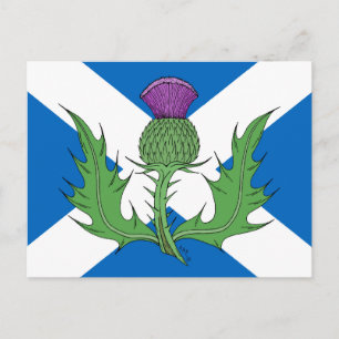Scottish Thistle and Saltire Postcard