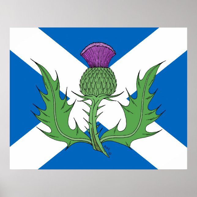 Scottish Thistle and Saltire Poster (Front)