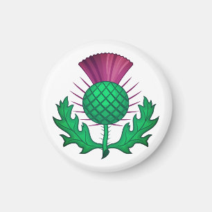 Scottish Thistle Magnet