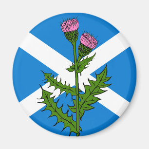 Scottish thistle magnet
