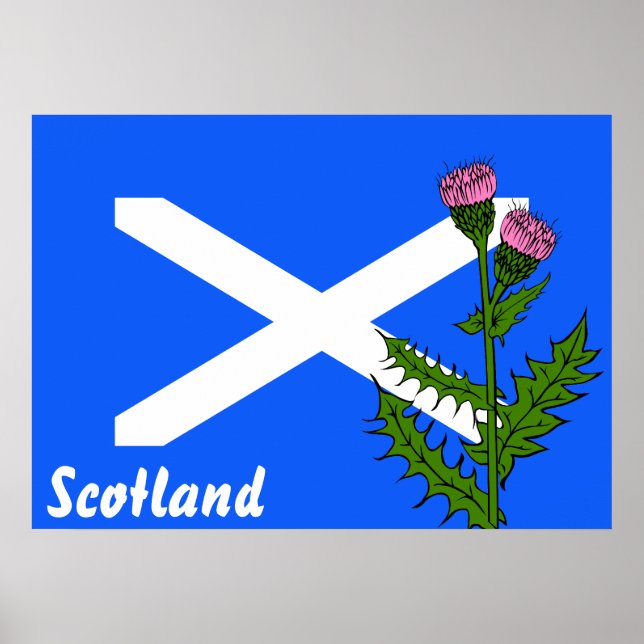 Scottish thistle poster (Front)
