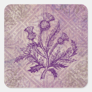 Scottish Thistle Purple Celtic Knot Square Sticker