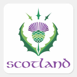 Scottish Thistle Sticker
