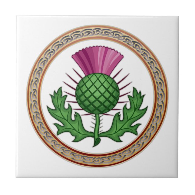 Scottish Thistle Symbol Badge Ceramic Tile (Front)