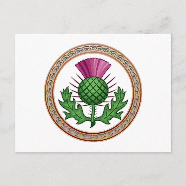 Scottish Thistle Symbol Badge Postcard (Front)