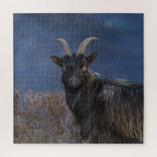 Scottish Wild Goat Jigsaw Puzzle