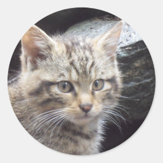 Scottish Wildcat Classic Round Sticker