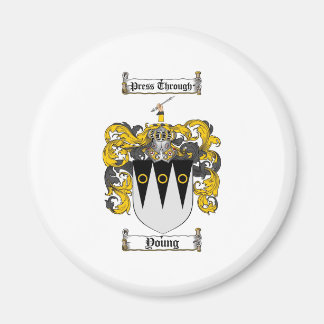 Scottish Young Coat of Arms Stein - Family Crest Magnet