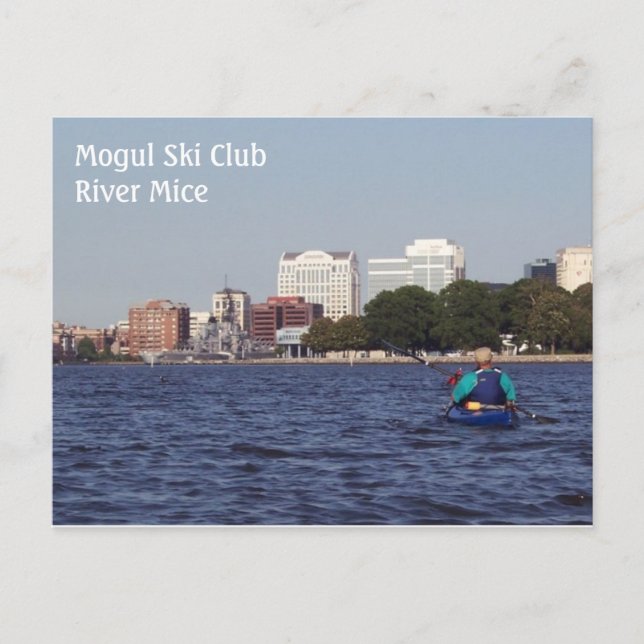 Scotts Creek Vista Postcard (Front)