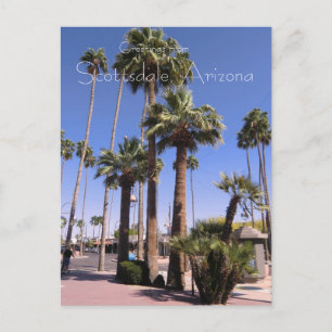 Scottsdale, Arizona Postcard