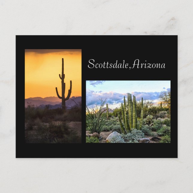 Scottsdale landscape duet postcard (Front)