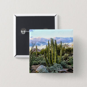 Scottsdale Succulent Sunset 15 Cm Square Badge