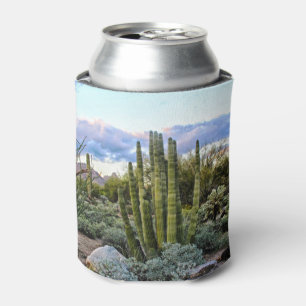 Scottsdale Succulent Sunset Can Cooler