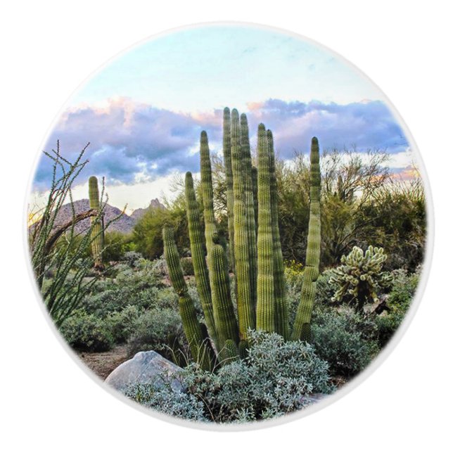 Scottsdale Succulent Sunset Ceramic Knob (Front)